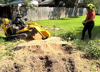 Chipper and stump grinder Chipper and stump grinder